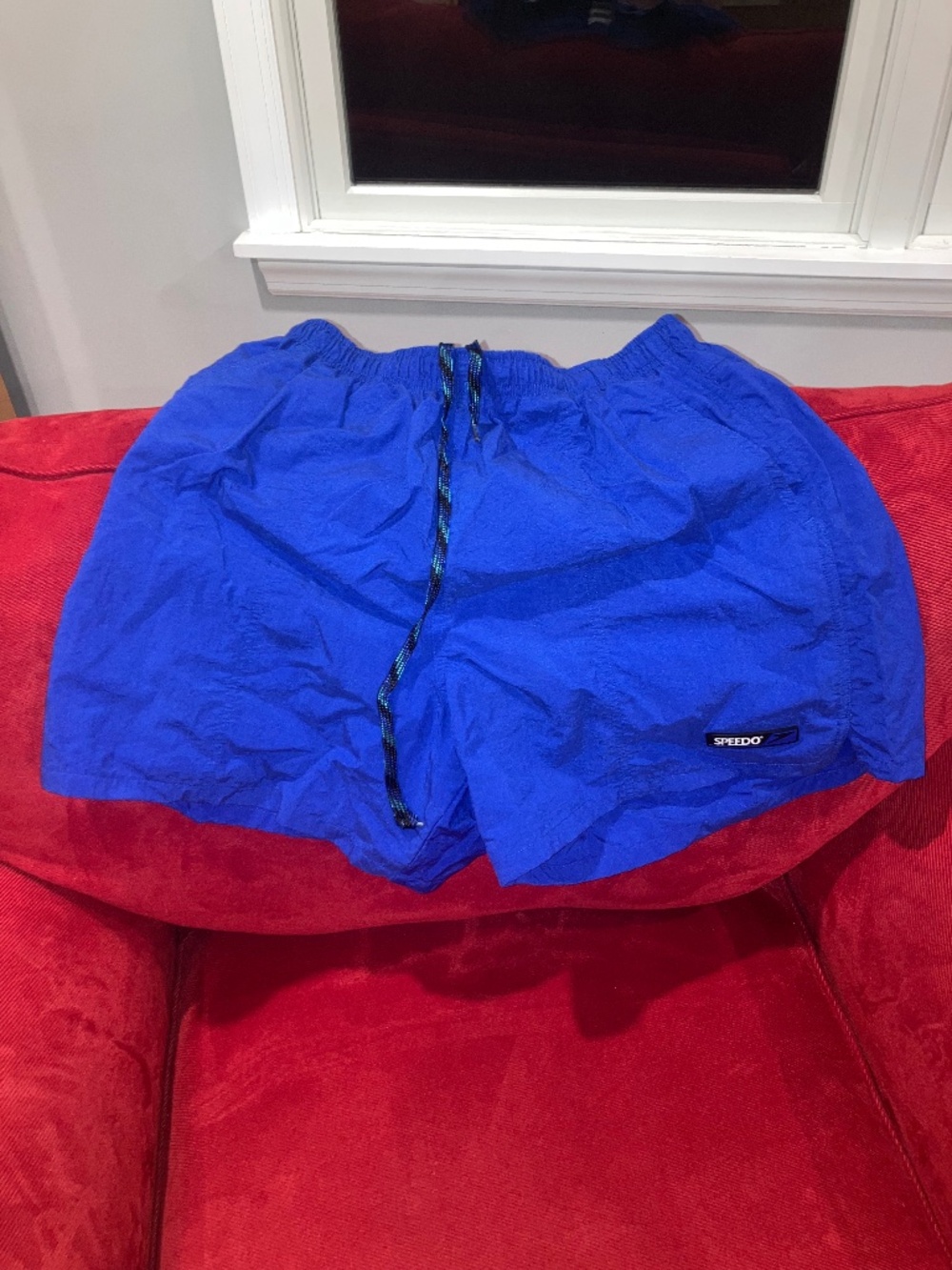 Speedo Men's swim trunk